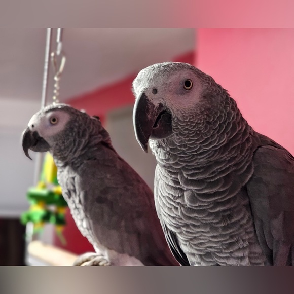 Meet your Posher, Kristi - Picture 17 of 17